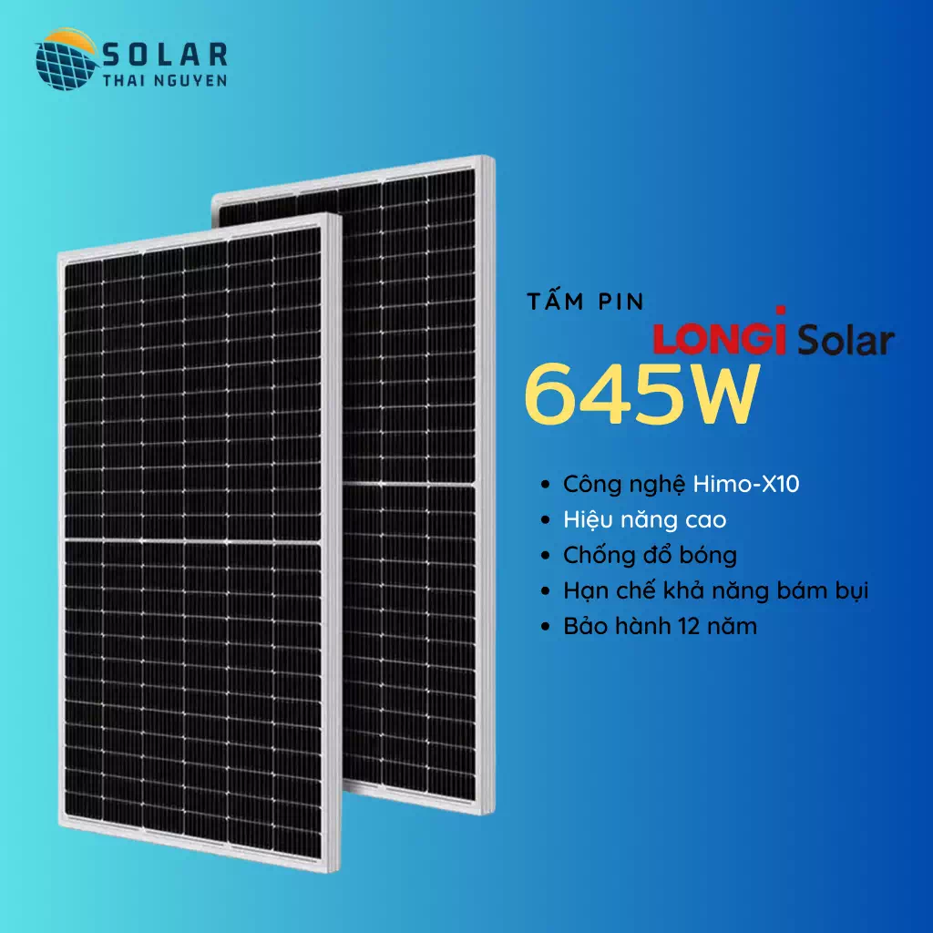 tam pin longi himo x10