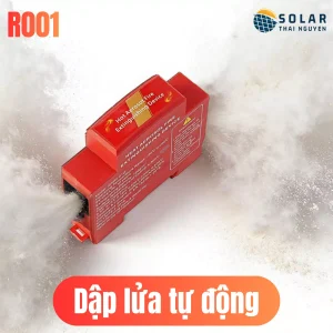 dap lua tu dien tu dong