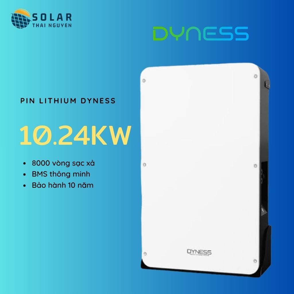 pin luu tru dyness pin luu tru dyness